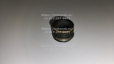 Втулки (маслосьемные колпачки)