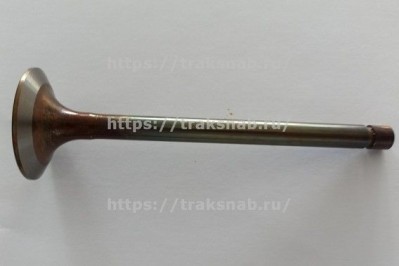 Клапан впускной (большой)  Д-260 оригинал