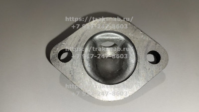 Патрубок головки блока